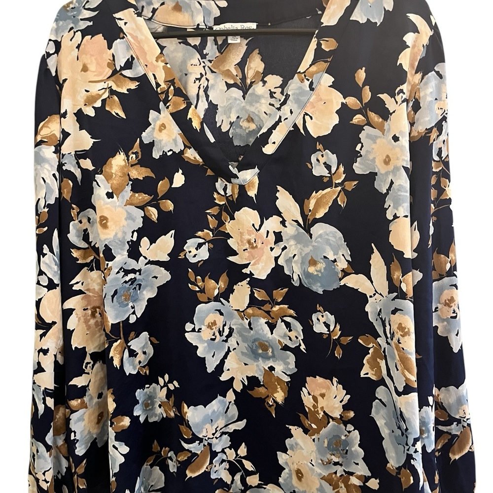 Ophelia Roe V Neck Blouse 1x